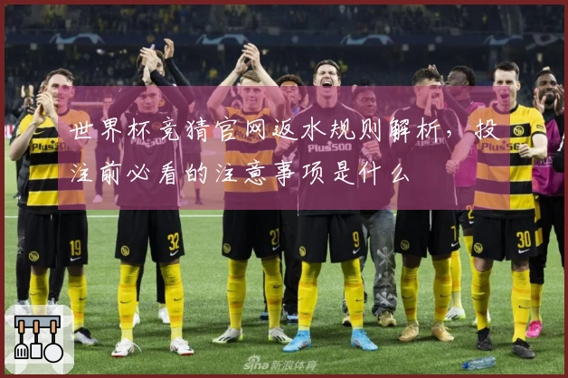 世界杯竞猜官网返水规则解析，投注前必看的注意事项是什么