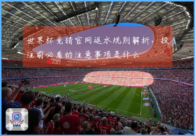 世界杯竞猜官网返水规则解析，投注前必看的注意事项是什么