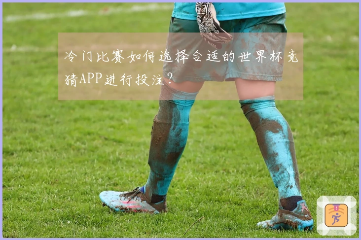 冷门比赛如何选择合适的世界杯竞猜APP进行投注？